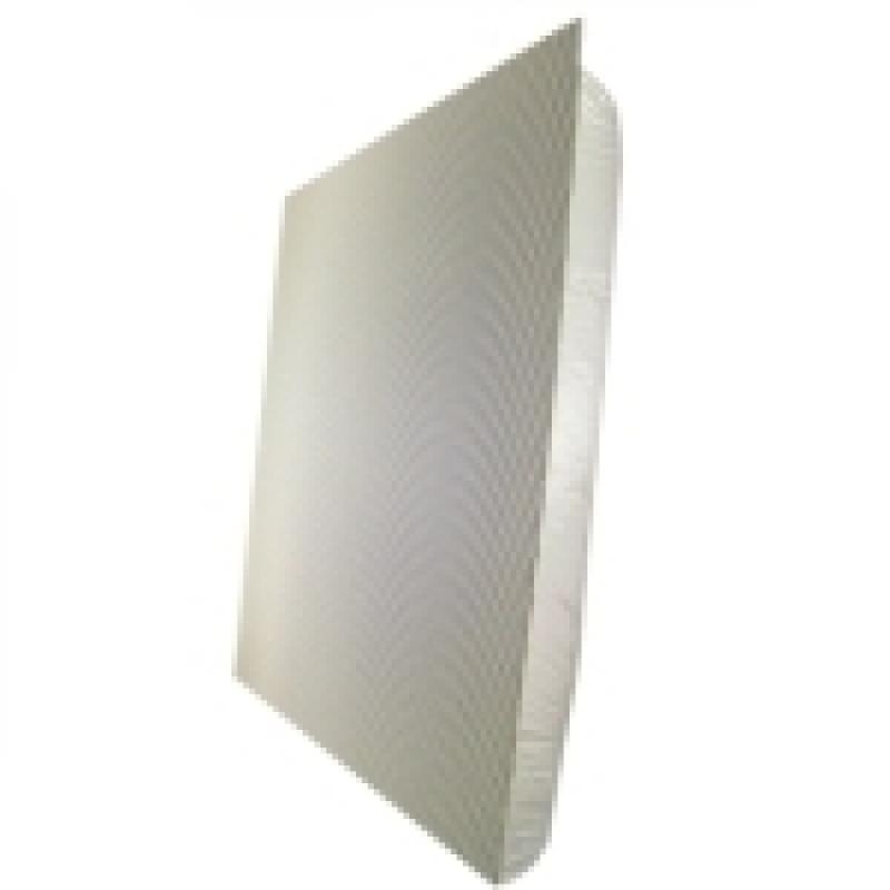 AND IP Speaker Ceiling Mt 2-WA