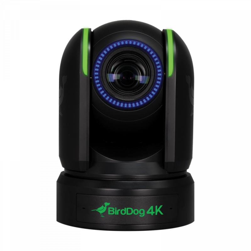 BirdDog P4K Black. 4K 10-Bit F