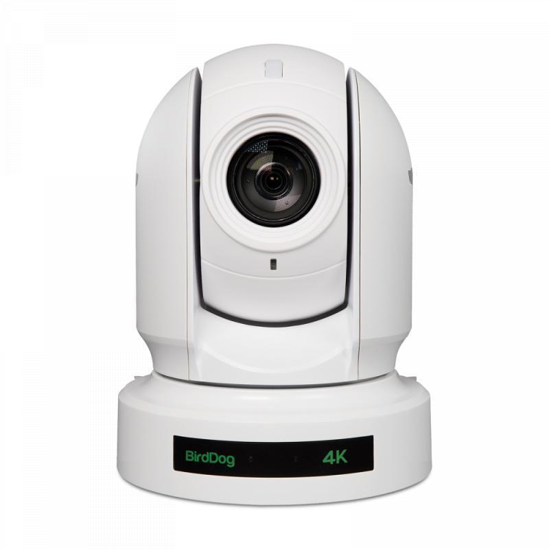 BirdDog P400 White. 4K 10-Bit
