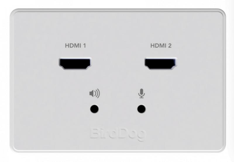 BirdDog Wallplate Dual Output