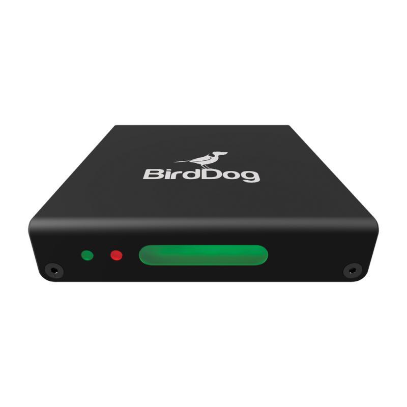 BirdDog Mini HDMI to NDI Encod