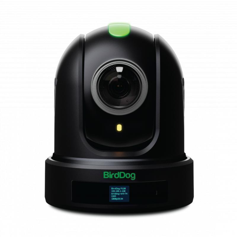 BirdDog P110. 1080P PTZ Camera