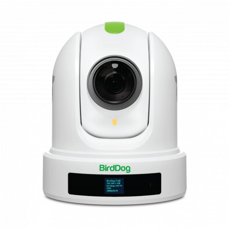 BirdDog P120. 1080P PTZ Camera