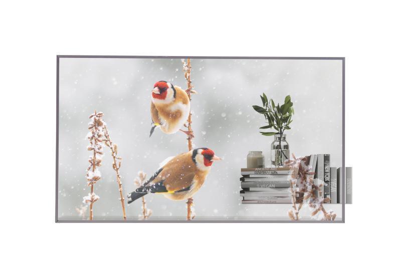 LG Electronics55EW5P-M55"OLED (Transparent),1920x108